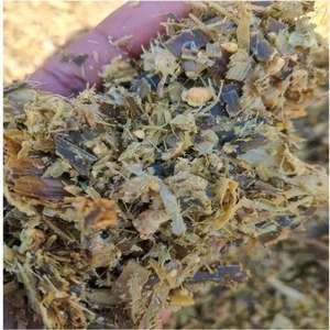 SIDDIQUI TRADERS Ensilaje de Maíz de Alta Calidad para Alimentación de Ganado Vacuno, Ovino, Equino y Porcino, 73% de Humedad, Bolsas/Balas de 750-850 kg, Grado 1 - Product Image 1