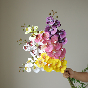 Arrangement floral d'orchidées papillon en gros, faible MOQ, fabricant d'orchidées papillon, orchidées papillon prêtes à être expédiées - Product Image 1