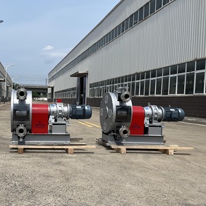 Pompe péristaltique à tuyau pour transfert de sirop de <span class=keywords><strong>sucre</strong></span>, mélasse, qualité alimentaire - Product Image 2