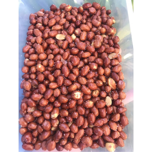 Fabricante de Cacahuetes Tostados Salados con Piel, Crujientes y Saludables, Exportación de Vietnam, Servicio OEM - Product Image 5