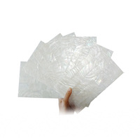 Feuille de coquillage naturelle de mer, 1 pièce, feuille de coquille d'abalone de nouvelle-zélande, pour l'artisanat artistique, bijoux de décoration de maison