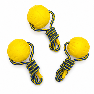 Interactive Pet Training Chew Teeth Toy Durable Elastic EVA Floating Balls Soft Rubber Dog Teeth Grinding Toys <b>Rope</b> Box Packed - Product Image 2