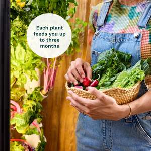 Gardyn 4.0 LED Grow Lights Système de jardinage intérieur intelligent 30 plantes sans OGM Hydroponique Vertical Garden Planter Eco-Friendly Home - Product Image 2