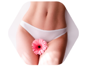 Máquina láser para tratamiento de ginecotología, Láser de 1470nm para atrofia vaginal, fibroidales uterinos, filamentos de ovarios - Product Image 3