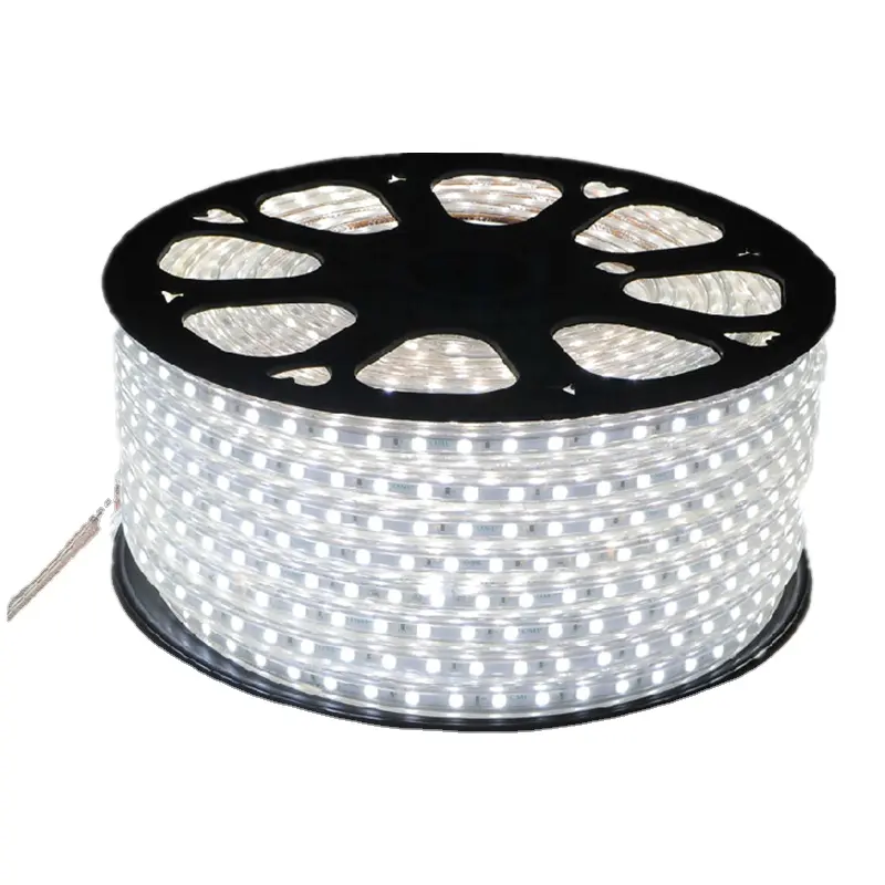 220v 12v Décoration Tira Led Smd 5050 Rgb Noël Flexible Étanche Led Néon Flex Corde Lumière Flexible Bande Lumineuse