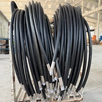 Tuyau flexible en acier tressé haute pression EN 1762, noir, 3/4 pouce, personnalisable, transfert de gaz, GPL, propane, caoutchouc, tuyau CNG