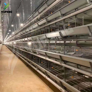 H Tipi Katmanlı Tavuk Kafesi Tavuk Yumurtlama Kafesleri Katmanlı Tavuk Kafesi Tavuk Yetiştirme Ekipmanları Ağır Hizmet Tipi Otomatik 10000 Kuş İçin - Product Image 6