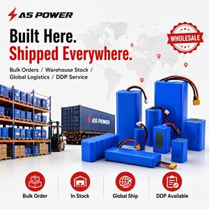 Paket Baterai Lithium Custom Ansen AS-DCZ OEM Grosir Pesanan Massal Stok Gudang Pengiriman Global Semua Ukuran Tegangan 1000 Siklus - Product Image 2