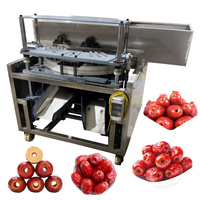 Dadelpitmachine Klein Semi-automatische Dadelpitmachine voor dadels