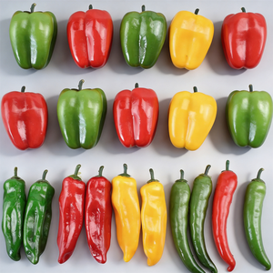 Modèles <span class=keywords><strong>de</strong></span> poivrons artificiels pour les expositions <span class=keywords><strong>de</strong></span> musées <span class=keywords><strong>de</strong></span> légumes, les stands <span class=keywords><strong>de</strong></span> salons professionnels éducatifs et les accessoires <span class=keywords><strong>de</strong></span> stands d'exposition - Product Image 1