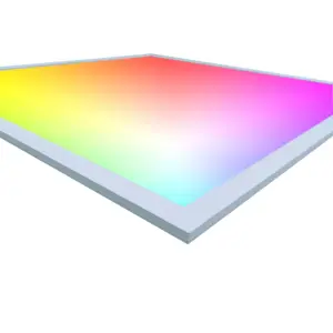 Bi Kleur Rood Groen Blauw Kleur Veranderende Mengen 24V Constante Spanning Rgb Lgp Panel Licht