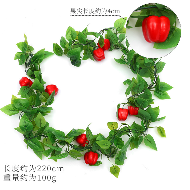 Vignes de poivrons rouges (gros fruits)