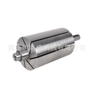 อะไหล่ปั๊มสุญญากาศสแตนเลสโรเตอร์ปั๊มลม Isge - Product Image 5