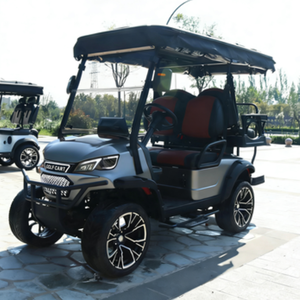 Carrito de Golf Eléctrico Individual de Metal, Modelo 2026 Rainbow, Personalizable, con Motor de CA de 5KW, 4 Plazas, Batería de Litio de 48V, <span class=keywords><strong>para</strong></span> Campos de Golf - Product Image 1