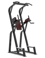 Chaise romaine multifonctionnelle inclinable à 45 degrés pour l'extension dorsale, équipement de fitness pour la maison, machine d'hyperextension dorsale