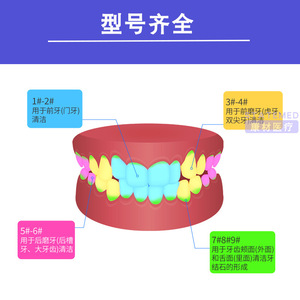 Xinhua – couteau dentaire en forme de corne, en forme de faucille, instrument de nettoyage manuel pour éliminer la plaque dentaire - Product Image 2