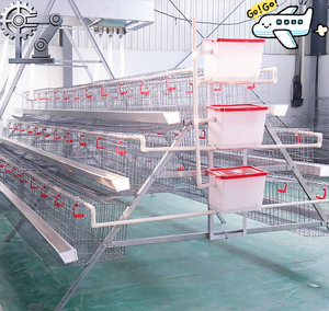 Nouvelle cage à poulets de type A avec système d'alimentation et d'abreuvement automatiques, en acier galvanisé, garantie de 2 ans, vente directe d'usine - Product Image 4