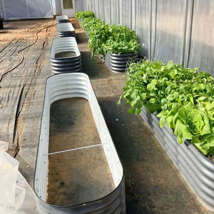 Jardinière surélevée en métal galvanisé pour la culture de légumes à domicile - Utilisation intérieure/extérieure écologique - Product Image 4