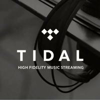 Abonnement Premium Tidal Music 12 mois, comptes Tidal, abonnement Tidal Hifi Plus 1 an