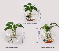 Vase mural en verre de style bohème, écologique, pour plantes hydroponiques, bouteille en verre soufflé artificiellement en forme de sphère, pour poissons et fleurs