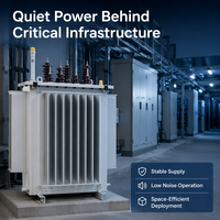 Transformador de 50 kVA con Núcleo Trifásico, Montado en Poste, Sumergido en Aceite, de Acero al Silicio, Estándar IEC60076, Voltaje Personalizado en KVA