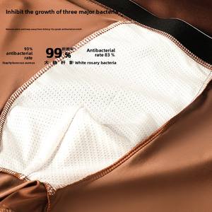 Herenslips van luxe zijde, naadloze, antibacteriële satijn-achtige ijzijde, ademend, met tailleband van gebreid materiaal voor gevoelige huid. - Product Image 4