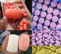 Chaîne de production complète de savon en barre : Mélangeur, Raffineur, Extrudeuse, Poinçonneuse et Coupeuse pour usine de savon de toilette et de lessive