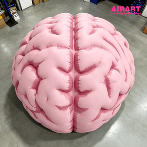 Modèle <span class=keywords><strong>de</strong></span> cerveau humain gonflable géant personnalisé 3M rose, simulation anatomique, accessoire pour <span class=keywords><strong>l</strong></span>'affichage éducatif dans les musées scientifiques - Product Image 6