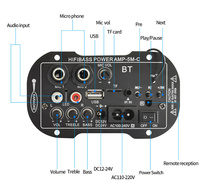 Carte d'amplificateur de puissance SF5, double microphone, 4 ohms, haut-parleurs de voiture 6-10 pouces, caisson de basses audio, sortie 12/24V 110/220V, mini stéréo