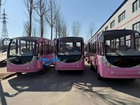 Bus touristique électrique fermé rose 14 places Bus touristique et voiture pour jardin à thème Bus touristique