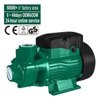 Pompe électrique de surface haute pression 370W 0,5 CV QB60, mini-pompe périphérique pour eau propre, pour surpression d'eau domestique