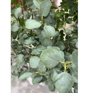 Cây Cây Nhân Tạo Cây Bạch Đàn Cây 4ft 5 ft Cao Hiện Đại Lớn Nhà Máy Giả Trang Trí Nội Thất Trong Nồi Cho Trong Nhà Ngoài Trời Nhà Văn Phòng Hoàn Hảo - Product Image 4