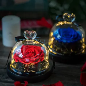 Usine Offres Spéciales Éternelles Conservées Naturel Arc-En-Ciel Rose Noir Rose Fleurs Cadeau Articles avec le meilleur prix de roses conservées