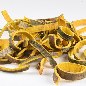 Écorce d'Amur Corktree / Phellodendri Chinensis Cortex (Huangbai), tisanes séchées pour le thé - Product Image 4