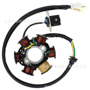 Bobina de Estator Magnético ZhenNirui GY6 125 150Cc, 6 Polos, 5 Cables, para Scooter y Motocicleta, Repuesto de Plástico - Product Image 3