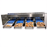 Elektronische Kiwi Wortel Passievrucht Roller Sizer Sorteermachine Groenten Fruit Sorteerlijn Aardbeien Verwerkingslijn 304