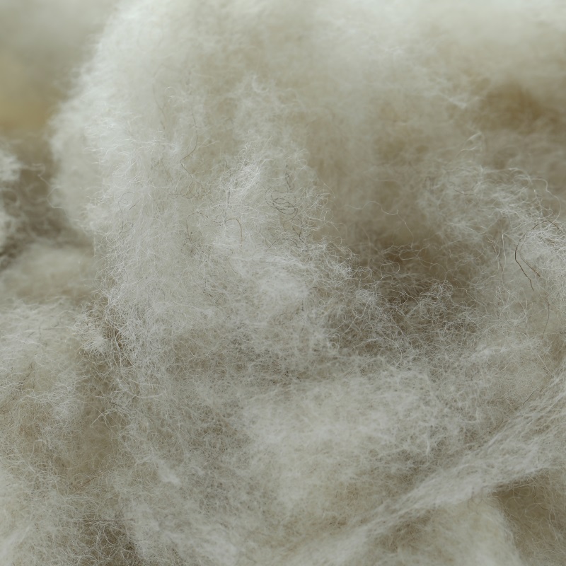 Free sample 24-26mm high resilience winter warm sheep wool fibre for clothes carpet