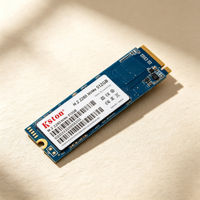 Kston 1TB NVMe M.2 SSD 2280 PCIe 3.0 Internal Solid State Drive Penyimpanan Kecepatan Tinggi