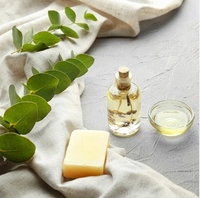 Huile essentielle d'eucalyptus de qualité supérieure 100% pure eucalyptus globulus distillée à la vapeur pour diffuseurs massage et soulagement respiratoire