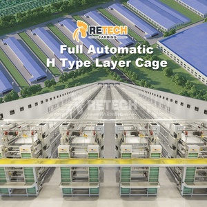 Equipo de granja avícola 4 Tier H Tipo Capa de batería completamente automática Jaula para pollos con sistema de recolección de huevos - Product Image 6