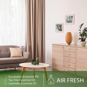 Bulk <span class=keywords><strong>Eucalyptus</strong></span> <span class=keywords><strong>Essential</strong></span> <span class=keywords><strong>Oil</strong></span> Globulus <span class=keywords><strong>80%</strong></span> Preço Do Óleo De Eucalipto Aroma Difusor Óleo Essencial Fabricante - Product Image 6