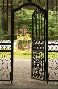 Puerta Principal <span class=keywords><strong>de</strong></span> Hierro Forjado <span class=keywords><strong>de</strong></span> Seguridad para <span class=keywords><strong>Entrada</strong></span>, Precio <span class=keywords><strong>de</strong></span> Mercado, Duradera, para Casa o Villa - Product Image 2
