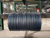 Fil de fer laminé à chaud de haute qualité SAE1006 SAE1008 SAE1010B, 5,5 mm-34 mm, fil de fer en acier au carbone en bobines pour usage en construction