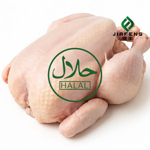 Healthy and Natural Special Price Whole Frozen <strong>Chicken</strong> with Full Specifications Available - Product Image 5