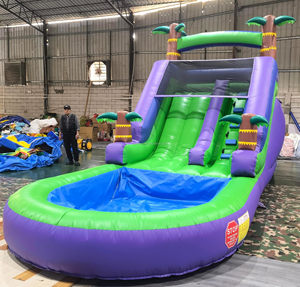 Alquiler de Toboganes Inflables Acuáticos para Fiestas, Tobogán Inflable de Grado Comercial con Piscina para Niños, Material de PVC - Product Image 6