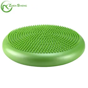 Zhensheng Factory Supplier Eco Friendly PVC Stability Inflatable Balance Wobble Disc Cushion