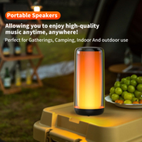 QERE HF33 Mini Enceinte Portable Sans Fil Extérieure avec Subwoofer et Lumières LED RGB Clignotantes, Alimentation DC, pour Fêtes et Basses Puissantes