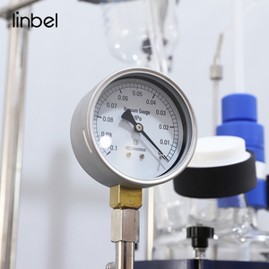 Linbel Hai Lớp 50L Hóa Chất Thủy Tinh Lò Phản Ứng <span class=keywords><strong>Overhead</strong></span> Khuấy - Product Image 6