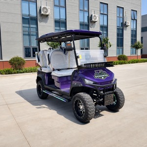 Carrello da Golf di Lusso 72V, Vendita Diretta dalla Fabbrica, Ruote da 12/14 Pollici, 4 Posti, Buggy Elettrico da Golf Aggiornato - Product Image 1