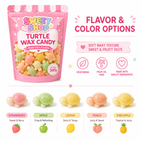 Bonbons en cire amusants pour enfants, en forme d'animaux, 500g, bonbons liquides à la tortue, bonbons en cire à mâcher en bouteille